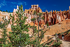 ../images/UnitedStates/14.jpg