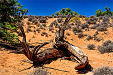 ../images/UnitedStates/21.jpg