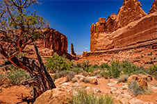 ../images/UnitedStates/27.jpg