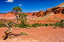 ../images/UnitedStates/33.jpg