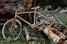 ../images/bois_rouille/_AC15724.jpg