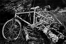 ../images/bois_rouille/_AC15724BW.jpg