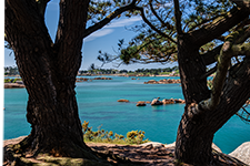 ../images/bretagne/ACH3691.jpg