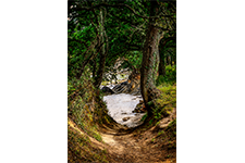 ../images/bretagne/_AC29315.jpg