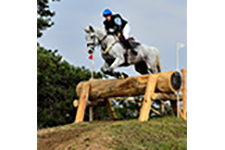 ../images/jumping/cavaillon.jpg