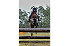 ../images/jumping/gwendolen.jpg