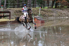 ../images/jumping/llewellyn1.jpg