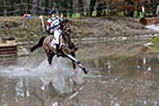 ../images/jumping/llewellyn2.jpg