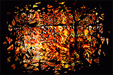 ../images/naturemorte/_ACH6019_matiere.jpg