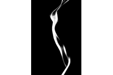 ../images/ombre_lumiere/_AC20505_1.jpg