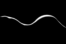 ../images/ombre_lumiere/_AC20505_2.jpg