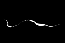 ../images/ombre_lumiere/_AC39070.jpg