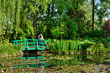 ../images/plantes/ACH1989.jpg