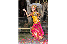 ../images/travel/bali2.jpg