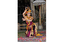 ../images/travel/bali3.jpg