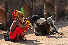 ../images/travel/inde19.jpg